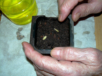 Similar image 21772997