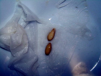 Similar image 21772998