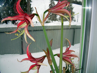 Similar image 21772999