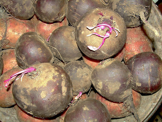 Similar image 21773000