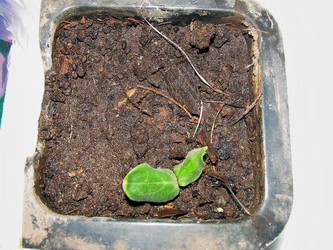 Similar image 21773001