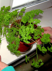 Similar image 21773012