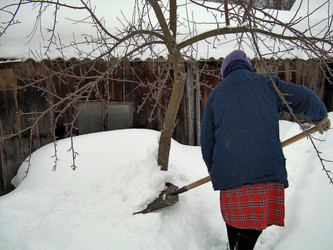 Similar image 21773013