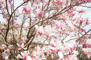 Similar image 21773150