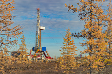 Similar image 21772908