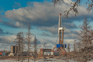 Similar image 21772910