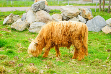 Similar image 21773330