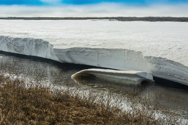 Similar image 21772918