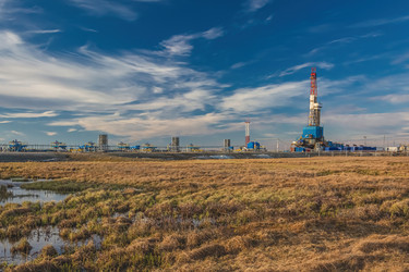 Similar image 21773024