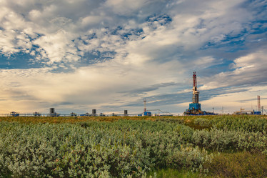 Similar image 21773027