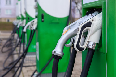 Similar image 21773162