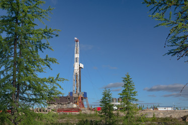 Similar image 21773032