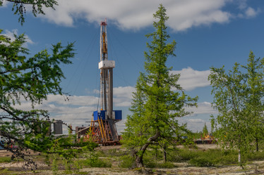 Similar image 21773034