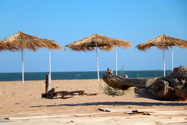 Similar image 21773358