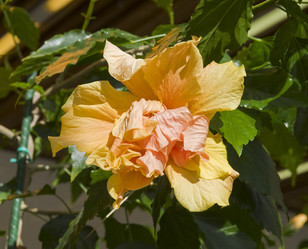 Similar image 21772927