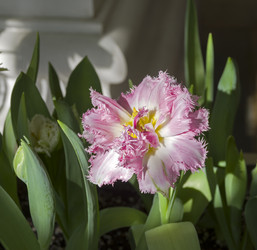 Similar image 21772928