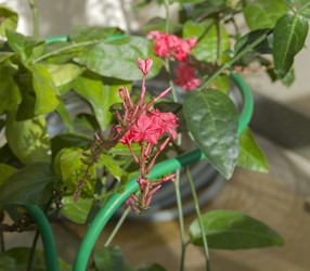 Similar image 21772929