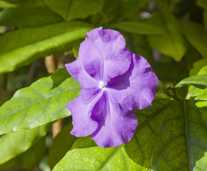 Similar image 21772930