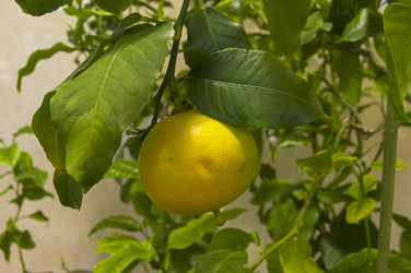 Similar image 21772931