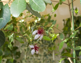 Similar image 21772932