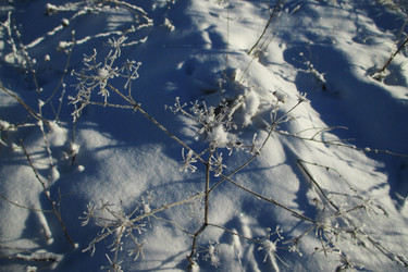 Similar image 21773360