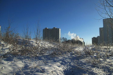 Similar image 21773361