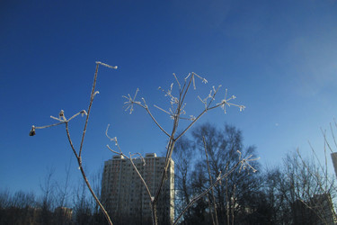 Similar image 21773362