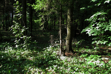 Similar image 21773364