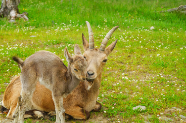 Similar image 21773334