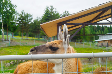 Similar image 21773335