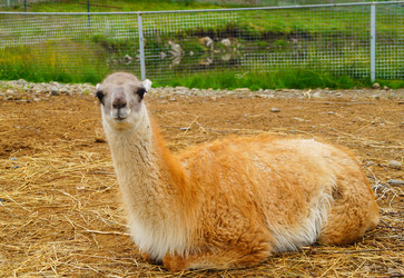 Similar image 21773336