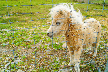 Similar image 21773338