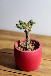 Similar image 21773896