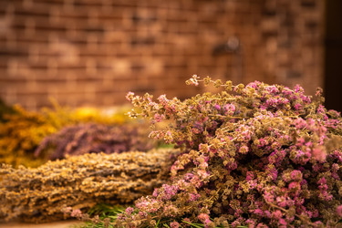 Similar image 21773926