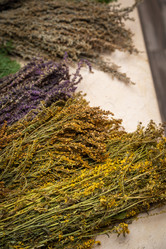 Similar image 21773927