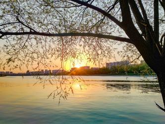 Similar image 21773340