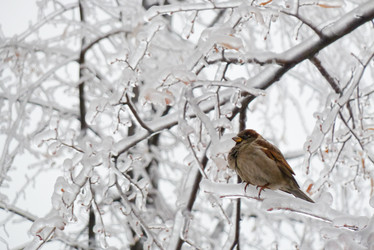 Similar image 21773342