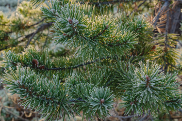 Similar image 21773374