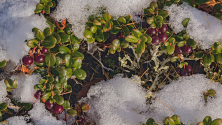 Similar image 21773377