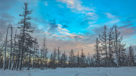 Similar image 21773381