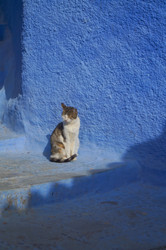 Similar image 21773386