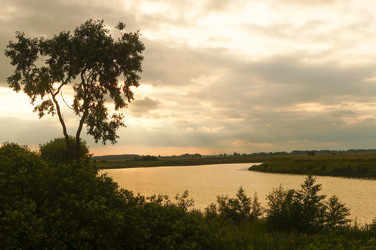 Similar image 21773387