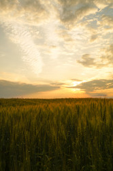 Similar image 21773388