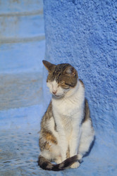 Similar image 21773390