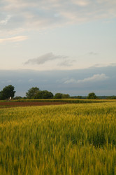 Similar image 21773391