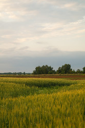 Similar image 21773392