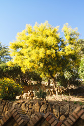 Similar image 21773394