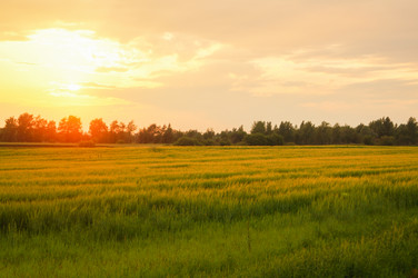 Similar image 21773403