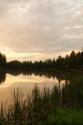 Similar image 21773407