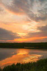 Similar image 21773408